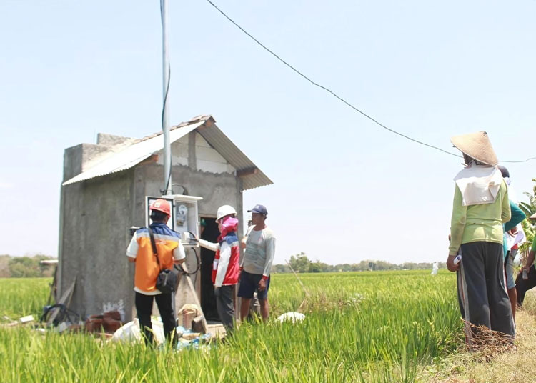 Dukung Pertanian Modern Electrifying Agriculture PLN Raih 53.539 Pelanggan Baru di Tahun 2024