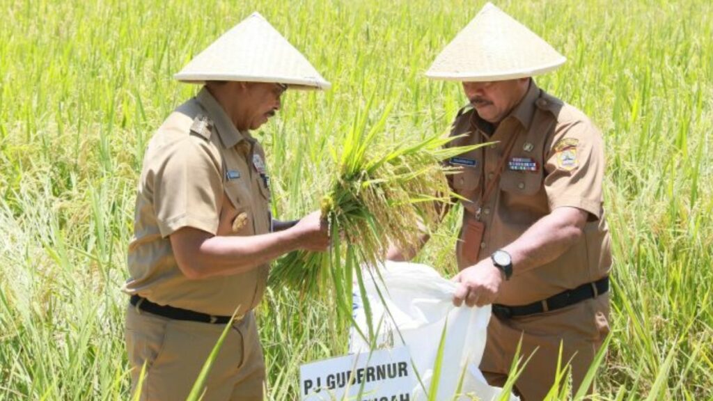 Jawa Tengah Sumbang 16 17 Kebutuhan Pangan Nasional di 2024 1024x576 1