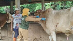 Pemkab Rembang Mulai Program Vaksinasi Sapi untuk Cegah Penyebaran PMK 1024x576 1