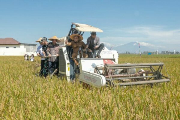 Gubernur Jateng Optimistis Capai Target 118 Juta Ton Padi pada 2025 1024x576 1