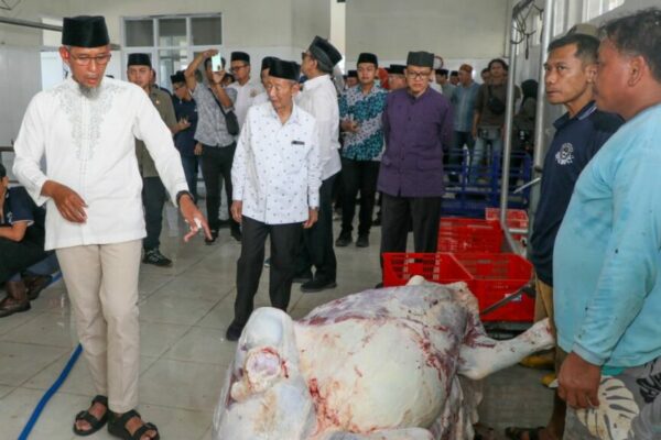 Baznas Jateng Olah 116 Sapi Kurban Jadi Kornet Targetkan 160 Ribu Kaleng untuk Warga 1024x576 1
