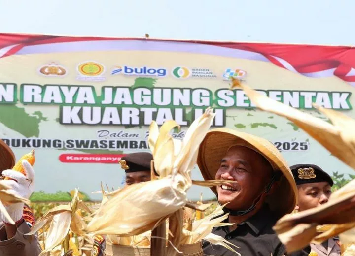 Ketua DPRD Jateng Sumanto Ikut Panen Raya Jagung di Karanganyar