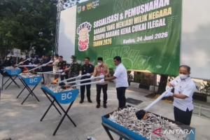 Bea Cukai dan Pemkab Kudus Musnahkan 897 Juta Batang Rokok Ilegal Rp1337 Miliar
