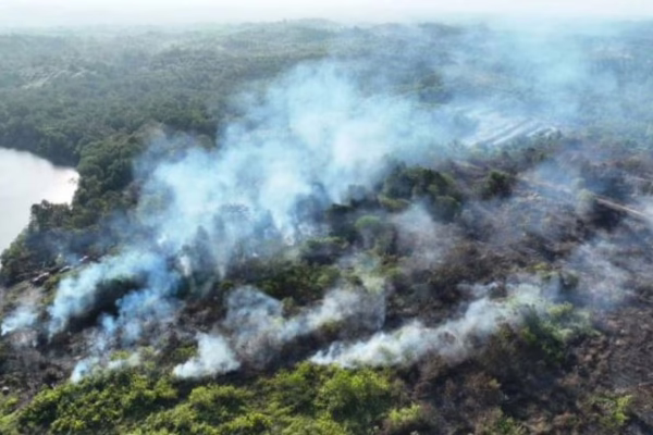 Kemenhut Ungkap 12880 Personel Gabungan Padamkan Karhutla di Kalimantan